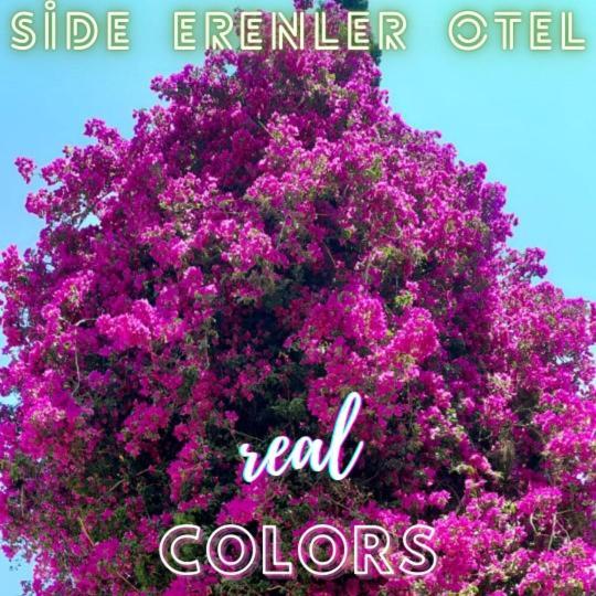 Side Erenler Hotel Exterior foto